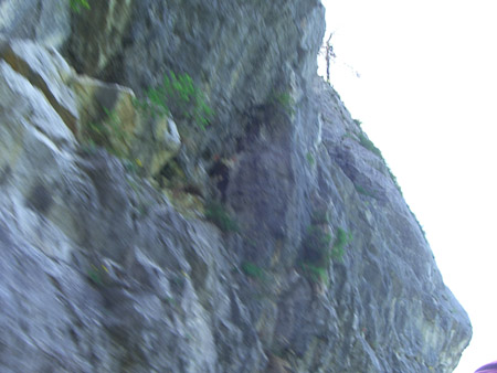 EX-Z850- 1/60 Sek. bei f / 4,0- 394