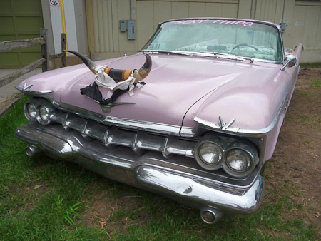 DMC-TZ5- 1/640 Sek. bei f / 3,3- 498