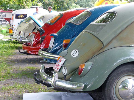 DMC-TZ31- 1/50 Sek. bei f / 5,0- 81