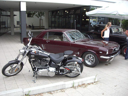 EX-Z700- 1/125 Sek. bei f / 2,7- 119