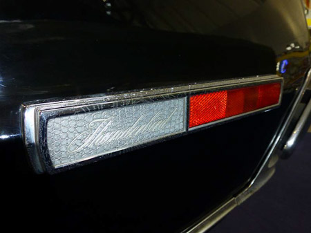DMC-TZ31- 1/50 Sek. bei f / 3,3- 236