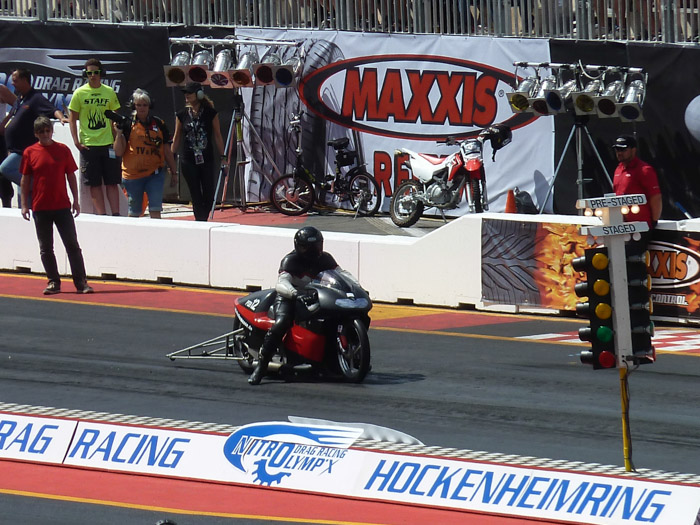 DMC-TZ10- 1/500 Sek. bei f / 5,6- 223